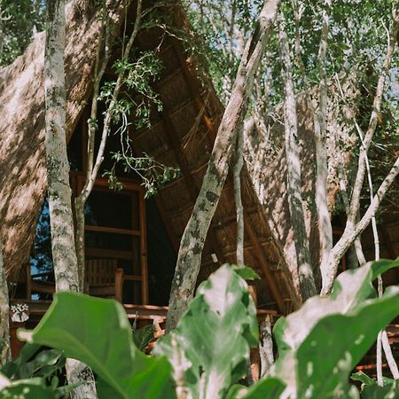 7 Cielos Bacalar. Luaran gambar